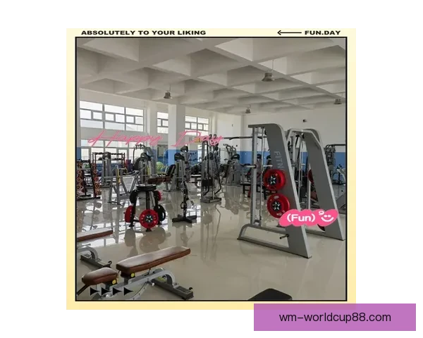 完美体育最新地址全面解析与最新功能使用指南分享