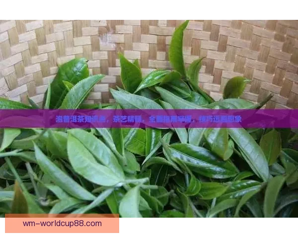 掌握世界杯竞猜比分规则技巧解析与实战策略全面指南